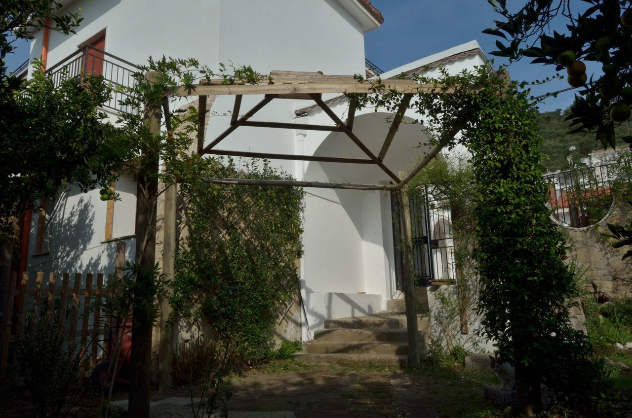 Il Giardino Del Sole Acomodação com café da manhã Roccarainola Exterior foto