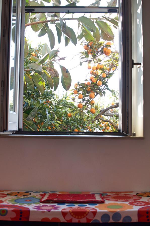 Il Giardino Del Sole Acomodação com café da manhã Roccarainola Exterior foto